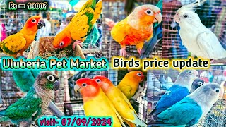 Uluberia pet market  Birds pirce updated 07092024 Uluberia pakhir haat cheapest sale viral [upl. by Helbon]