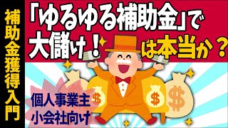 【ゆるゆる補助金で大儲け！は本当か】個人事業主･小会社向け補助金･助成金で成功する人､失敗する人【入門事業計画･申請書書き方商工会議所持続化補助金中小企業診断士ほらっちchコラボ2023】 [upl. by Rehptsirhc]