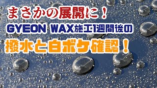 予期せぬ結果に！！GYEON WAX経過観察と撥水チェック！どれが一番撥水するのか？ [upl. by Cristine857]