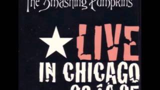 Smashing Pumpkins  Auf Wiedersehen Cheap Trick  Live in Chicago  23101995 [upl. by Anawait]