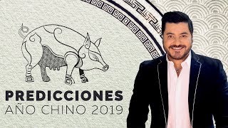 PREDICCIONES AÑO CHINO DEL CERDO 2019 [upl. by Atiekal]