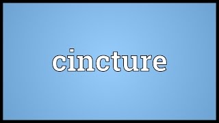 Cincture Meaning [upl. by Anatlus]