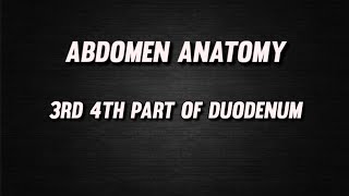 DUODENUM  3rd and 4th PART OF DUODENUM  ABDOMEN ANATOMY  BDC  ftxenos [upl. by Iy]