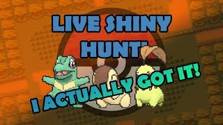 Pokemon Soul Silver Starter Shiny Hunt I Actually Got it [upl. by Ammadis]