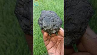 Shaligram sri Vishwaroop shaligram  shila  gandaki river shaligram 💐💐 shorts short shortsfeed [upl. by Yrrab]