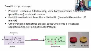 Antibiotics and ChemotherapyAntibiotic policy Clinical use of antibioticsMicrobiology for nurses [upl. by Elleb]