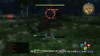 Max Affinity NPC Quest  Sword Art Online Hollow Realization [upl. by Raamaj362]