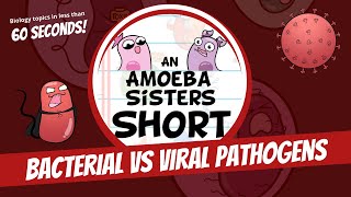 Bacterial vs Viral Pathogens  Amoeba Sisters Shorts [upl. by Lenahtan]