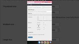 How to change quotDefault Image sizesquot on your WordPress site shorts [upl. by Alyacim]