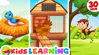 Where Do Animals Live  More Educational Animated Videos For Kids 📚 Preschool Learning Video [upl. by Sirred84]