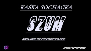 KAŚKA SOCHACKA  SZUM KARAOKEINSTRUMENTALarranged by Christopher Bird [upl. by Annatnom]