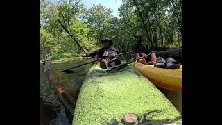 Sasquatch Heard While Kayaking [upl. by Donia]