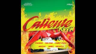 Caliente Riddim Instrumental Dunwell Productions [upl. by Novhaj]