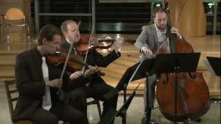 Binaural Audio  Winter Vivaldi The Four Seasons H [upl. by Suu423]