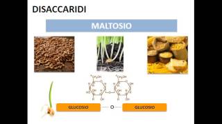 Le biomolecole i carboidrati [upl. by Ellene]