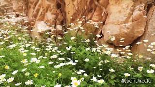 Climbing Taghia Morocco [upl. by Ahsienek]