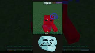 Minecraft hacks minecraft viralshort [upl. by Kenison]