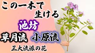 アジサイ1本で生ける華道三大流派の生け花【池坊・小原流・草月流】 [upl. by Harbard34]