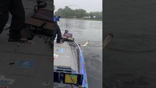 BassMaster Elite Champion Trey McKinney boat flipping a 5 pounder on the St John’s 2024 Tournament [upl. by Repsaj43]