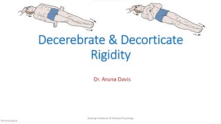 Decrebrate amp Decorticate Rigidity [upl. by Nioe467]