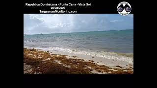 2023 Sargassum  Dominican Republic  Punta Cana  Vista Sol [upl. by Dowdell]