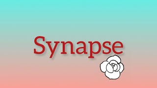 What is Synapse [upl. by Butterfield909]