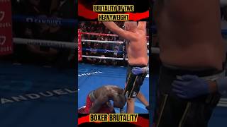 TRILOGY FIGHT FEROCIOUS BOXER BOWS TO TYSON FURY  WILDER VS FURY boxing [upl. by Aduhey]