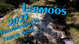 Lermoos Freeridestrecke Forest Aisle 2023 MTB Downhill amp Enduro [upl. by Arannahs]