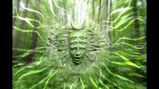 Shpongle amp Hilight Tribe  Shankaras Invocation [upl. by Yeldoow]