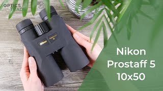 Nikon Prostaff 5 10x50 Binoculars Review  Optics Trade Reviews [upl. by Cassaundra]