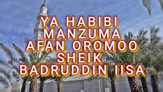 quotYA HABIBIquot  MANZUMA AFAN OROMOO SHEIK BADRUDDIN IISA [upl. by Gerdi809]