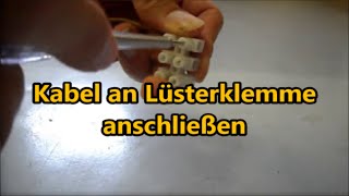 Anleitung Kabel richtig an Lüsterklemme anschließen Lüsterklemme verdrahten benutzen [upl. by Farnham122]