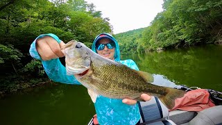 Claytor Lake State Park  Caught All 3 Bass Species‼️🔥 [upl. by Harimas265]