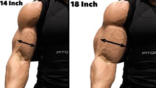 8 Greatest Bicep Exercises to Build Wider Biceps [upl. by Conlan]