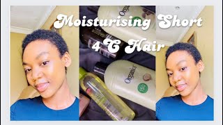 Moisturizing Short 4C Hair for Hair Growth [upl. by Witcher]