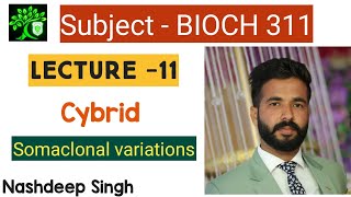 Bioch 311  Cybrid  Somaclonal variations  Somaclone biotechnology for bsc agriculture  Nashdeep [upl. by Langan733]