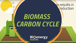 Biomass carbon cycle  Bioenergy explained [upl. by Eusassilem]