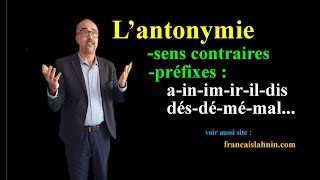 Lantonymie  mots contraires sens opposés préfixes inimdismé [upl. by Bowes]