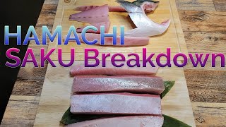 How to cut Yellowtail HAMACHI into PERFECT sushi SAKU [upl. by Anoblav]