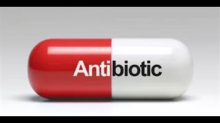 Antibiotics in Poultry Industry Part 1 Introduction Classification and Benefits [upl. by Shaefer]