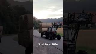 Stroh holen 2024 Massey Ferguson [upl. by Kalvn8]