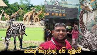 සත්තු නිදැල්ලේ අපි කූඩුවේ  Safari World Bangkok [upl. by Klemm924]