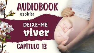 audiobook  DEIXEME VIVER  cap13  romance espirita [upl. by Ttcos]