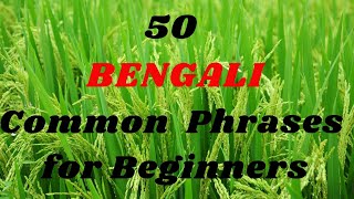 50 Common BENGALI Phrases for Beginners [upl. by Orling]