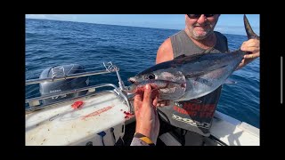 Westernport Bluefin Tuna This fish was HUNGRY [upl. by Yert]