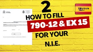 🖊 How to Complete Modelo 790012 for NIE Application Step by Step✅ [upl. by Nealson]