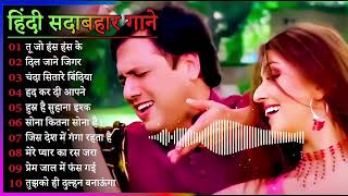 Hindi Gana🌹Sadabahar Song 💖हिंदी गाने 💔Purane Gane Mp3 💕Filmi Gaane अल्का याग्निक कुमार सानू गीत [upl. by Devinna529]