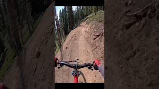 Any trail in a bike park is fun by default mtb downhill gopro shorts [upl. by Ellednek933]