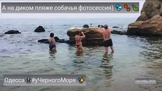 Одесса⚓А на диком пляже собачья фотосессия 💦🐾🍃уЧерногоМоря ✨ Сентябрь 2024 [upl. by Drahnreb476]