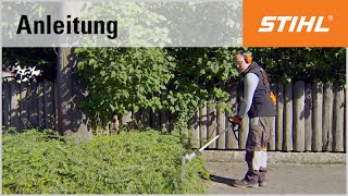 SchnittTechnik BenzinHeckenschneider Bodendecker schneiden mit dem STIHL HL 100 [upl. by Atteuqahc]